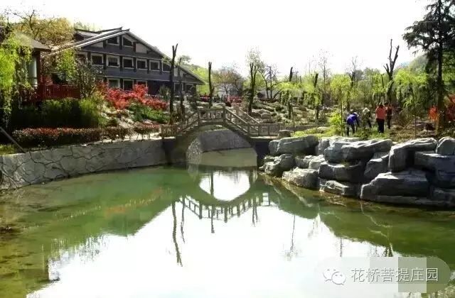 這個(gè)周末，隴南康縣花橋有大事要發(fā)生？