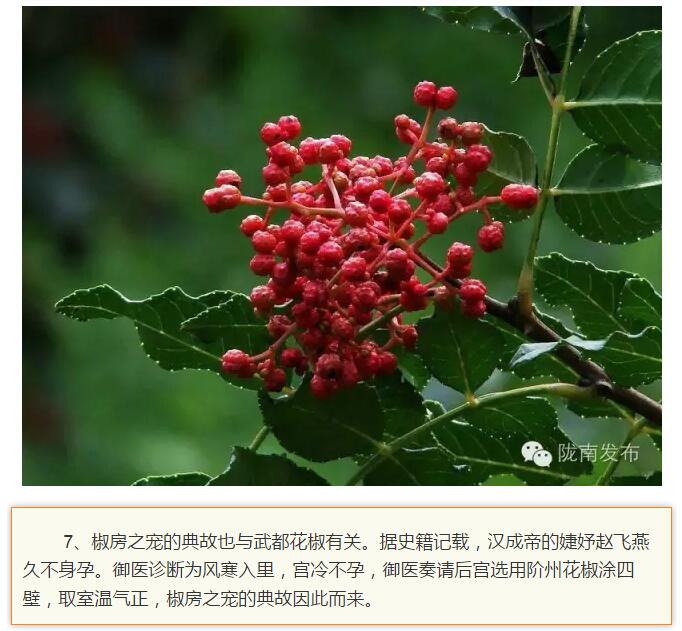 蘭渝鐵路最早由孫中山先生提出？在隴南，你不知道的事兒還有……