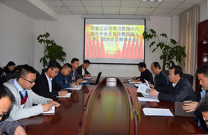 市龍江公司召開全體員工大會(huì)，專題傳達(dá)學(xué)習(xí)上級(jí)會(huì)議精神