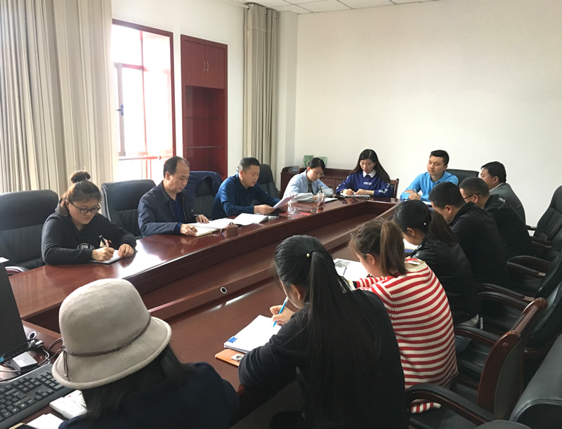 市龍江城鄉(xiāng)發(fā)展集團(tuán)專題學(xué)習(xí)近期中央、省、市紀(jì)律檢查委員會(huì)議精神